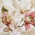 Kép 5/9 - Lillie bársony sötétítő függöny Bézs/rózsaszín 140x270 cm