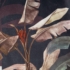 Kép 5/10 - Nikol bársony sötétítő függöny Fekete/zöld 140x250 cm