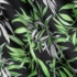 Kép 6/10 - Zoja Pierre Cardin bársony sötétítő függöny Fekete/zöld 140x250 cm