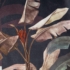 Kép 5/10 - Nikol bársony sötétítő függöny Fekete/zöld 140x270 cm