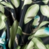 Kép 10/11 - Loni sötétítő függöny Fekete/zöld 140x250 cm
