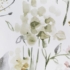 Kép 6/10 - Zoja sötétítő függöny nyári virágokkal Fehér 140x250 cm